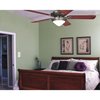 Westinghouse Wall Control Ceiling Fan 3 Speeds and -Light Dimmablemer 7787500
